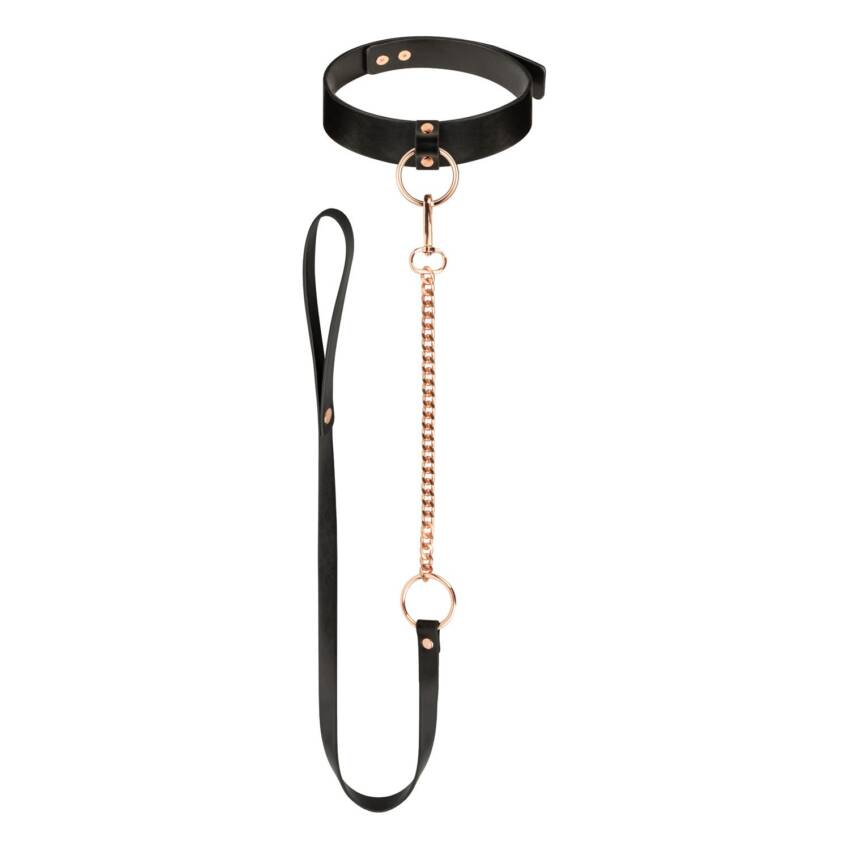 Rosy Gold Collar with Leash - Black - Image 5