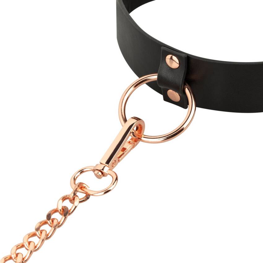 Rosy Gold Collar with Leash - Black - Image 4